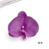 Flores de Orquídea Phalaenopsis Simuladas Pasador DIY Accesorio para el Cabello Flores Falsas Pasador DIY Accesorios para Ropa Decoración de Mesa de Postres