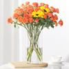 Jarrón de Vidrio Transparente Engrosado, Arreglo Floral de Cultivo en Agua Engrosado Decoración de Sala de Estar, Recipiente Hidropónico para Bambú de la Suerte, Cubo Grande para Despertar Flores