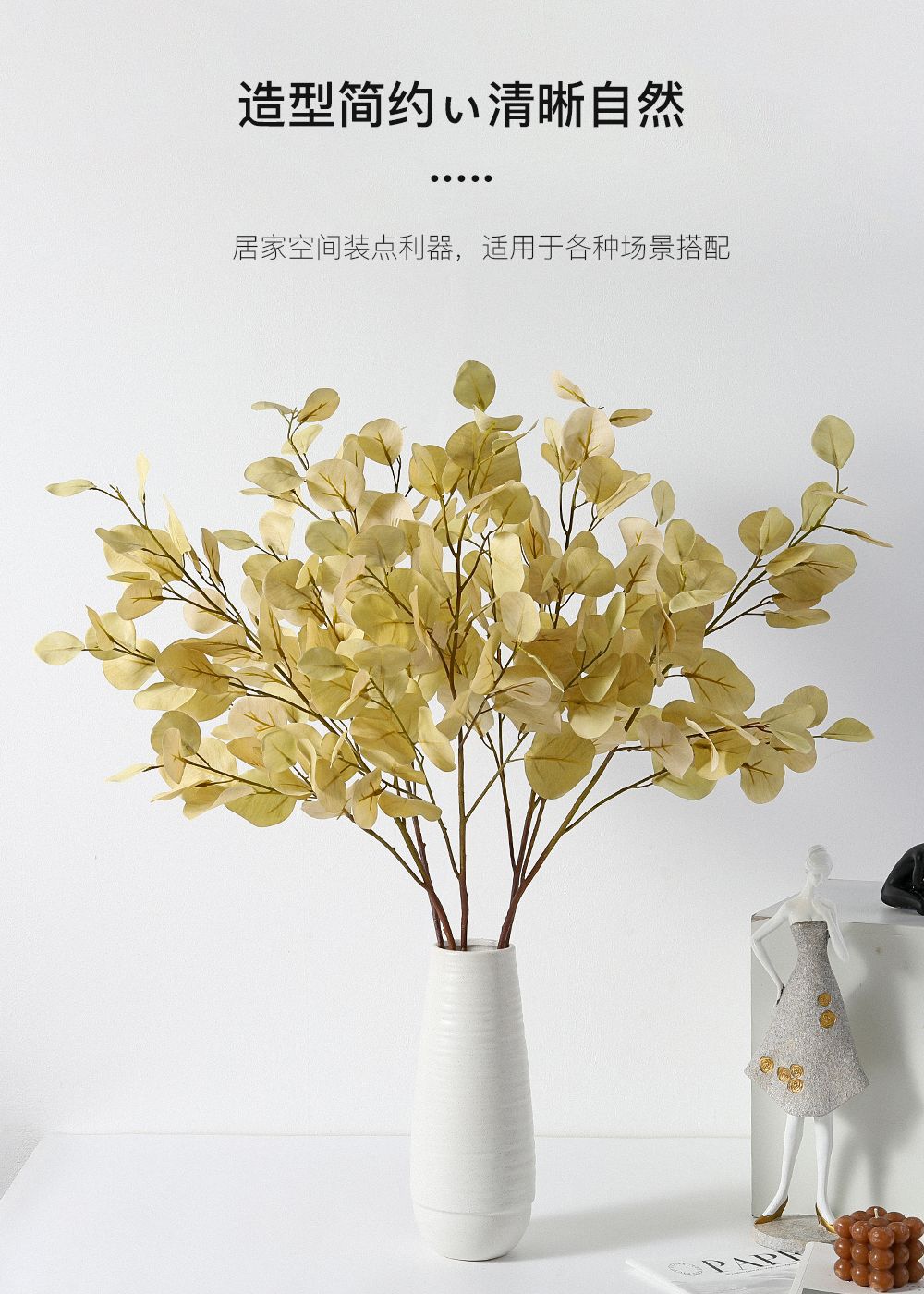 中枝尤加利详情图
