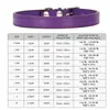 Coleira para Pet, Coleira Ajustável Anti-Perda Estilo Ins para Gato, Coleira Decorativa, Suprimentos para Pets