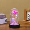 Adornos Acrílicos de Flores Eternas Transfronterizos Rosa Luz Nocturna A Prueba de Polvo Color Lámina de Oro Flor Adornos de Regalo para Vacaciones Venta al por Mayor