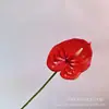 Flor artificial pequeno tamanho Antúrio sensação de mão única lança-chamas palma impressão 3D casamento decoração de casa flor flor artificial fabricantes