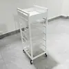 Novo Carrinho de Cabeleireiro, Carrinho de Ferramentas para Salão de Beleza, Carrinho de Cabeleireiro Multifuncional, Carrinho para Permanente e Coloração de Barbearia, Carrinho de Armazenamento