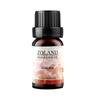 Fabricante Venta al por Mayor 10ml Máquina de Aromaterapia Humidificador Aceite Esencial Especial para Aromaterapia Desodorización Interior Aromaterapia Soluble en Agua Fresco
