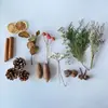 Casca de fruta faça você mesmo, pinha, lascas de madeira, folhas, flores secas, combinação de frutas secas, decoração de natal, decoração de jardim de infância, adereços retrô