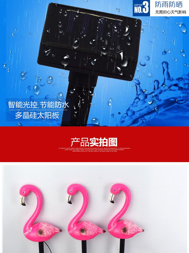 火烈鸟详情模板_02.jpg