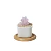 Regalos creativos: Plantas suculentas artificiales de vidrio Zibo en maceta, manualidades de vidrio, decoraciones de escritorio estilo ins al por mayor