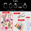 Pintura de Espécime Decíduo Flores Secas Marcador de Página Outono Artesanal diy Coleção de Materiais Planta Árvore Filme Plástico Pequeno