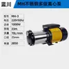Bomba Centrífuga de Impulsor Múltiple de Acero Inoxidable MH Bomba Centrífuga Exportación Rusia Medio Oriente 220V50Hz Estándar Europeo Bomba Autocebante de Presión