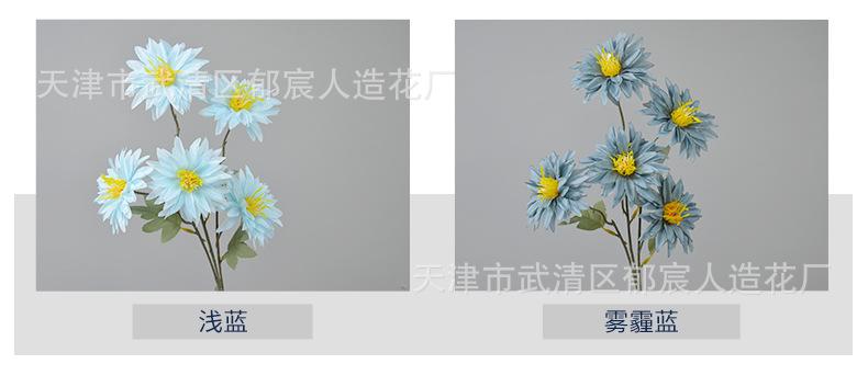 详情_04.jpg