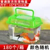 Tanque Pequeño para Peces Dorados Jaula Criadero Caja Cerrada Tortuga Grande Mediana Pequeña Jaula de Plástico Transporte Hámster