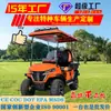 Novo Carrinho de Golfe Elétrico Laranja 4 Lugares Área Cênica Propriedade Parque Patrulha Recepção de Hotel Veículo Personalizável
