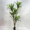 Decoración de Planta Artificial Árbol de Sangre de Dragón de Hierro Colorido Planta Falsa en Maceta Tienda de Ropa Planta Verde Ventana Árbol Falso Planta Adornos Paisajísticos
