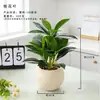 Planta Verde Artificial em Vaso para Escritório, Decorações de Mesa Interna para Sala de Estar de Alto Padrão, Plantas e Flores Artificiais, Adereços para Fotografia
