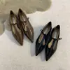 Elegantes zapatos de moda para mujer con punta fina, nuevo estilo bosque vintage primavera 2026 zapatos Mary Jane negros franceses de tacón bajo