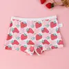 Al por mayor Ropa Interior Nueva para Niños y Niñas Algodón Peinado Boxer Tipo Triángulo para Bebé un No Pinza PP Shorts para Niños Medianos y Grandes