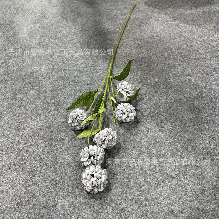 微信图片_202302211530072_副本