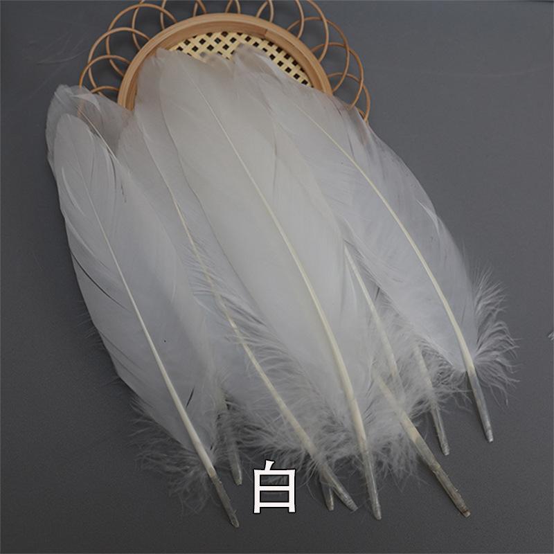 白.jpg