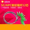 Yonghang fabricante SC/ST/FC/LC/UPC monomodo pigtail jumper 12-core tail 0.9 bundle pigtail SC/APC