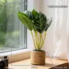 Folha de Alocasia Fresca Ornamento Decorativo para Sala de Estar, Escritório Interno, Estação de Trabalho, Mesa, Bonsai Artificial, Flor Artificial, Planta Verde