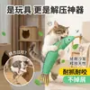 Set de hierba gatera transfronterizo juguete para gato mascota pez crucian simulado empaque de pescado marisco juguete para morder suministros para mascotas