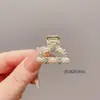 Accesorios para el Cabello Corto durante la Fase Incómoda: Pinzas para el Cabello, Pinzas de Garra Pequeñas para Peinados Semi-Recogidos, Pinzas para Cabello Corto de Permanente y Adornos para el Cabello