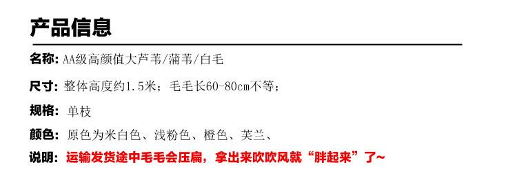 详情页_15