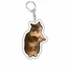 Rana Acrílico Souvenir Mascota Perro Expresión Perro y Gato Colgante Creativo Foto Llavero Otros