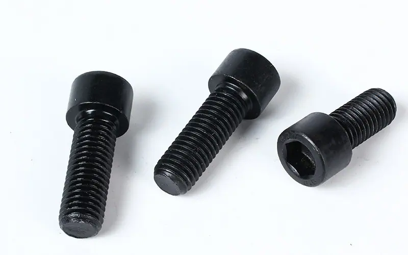 800500.jpg