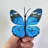 Simulación Estéreo 3D Mariposa Caperucita Roja Explosiones Atmósfera Decoración de Ventana de Mariposa Pasador Tocados Material diy