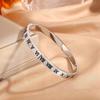 Pulsera de Acero Inoxidable, Lujo Ligero Transfronterizo, No se Desvanece, Pulsera de Acero de Titanio Incrustada con Diamantes Fijada con Hebilla, Pulsera de Alto Nivel Chapada en Oro para Mujeres y Parejas