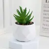 Set de Suculentas Simuladas Plantas Verdes Pequeños Bonsáis Flores Artificiales Transfronterizas Decoración del Hogar Adornos de Escritorio Plantas de Plástico Flores Artificiales