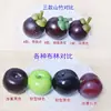 Vários modelos de simulação de frutas tropicais espuma agravada Sakya abacate mangostão falso preto Brin ameixa verde Lotus névoa