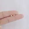 Brincos de Prata Esterlina 925 Novo Estilo Primavera Verão Pequenos Celebridade da Internet Douyin Venda Quente Brinco Simples Moderno Estudante Feminina Noite