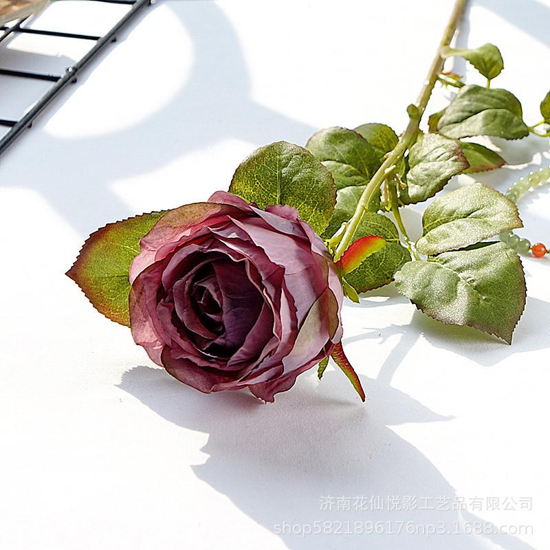 单支复古英国玫瑰