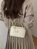 Bolsos de Diseño de Nicho con Bordados de Moda 2025 Nuevo Modelo Bolso de Mano para Mujer Verano Versátil Bolso Cruzado con Cadena Bolso Cuadrado Pequeño