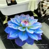 Alfombrilla de Suelo de Barro Diatomeas Estéreo 3D Alfombra de Secado Rápido de Planta Suculenta Alfombra de Baño Sala de Estar Alfombrilla Antideslizante Absorbente de Agua