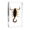 Especímenes de Insectos Artesanales Jingling: Escarabajo, Escorpión, Mantis, Araña - Educación Científica y Regalos de Nicho, Adornos de Resina