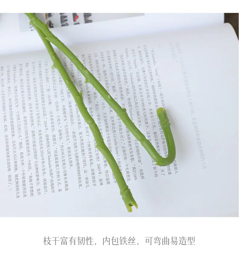 贝勒米3头茶玫_13.jpg