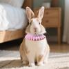 Bufanda de Cuello con Estilo de Conejo Babero Patito Accesorios para el Cuello Corbata de Moño Bufanda de Cuello Tejida de Hámster Lindo Decoración de Mascota de Dibujos Animados
