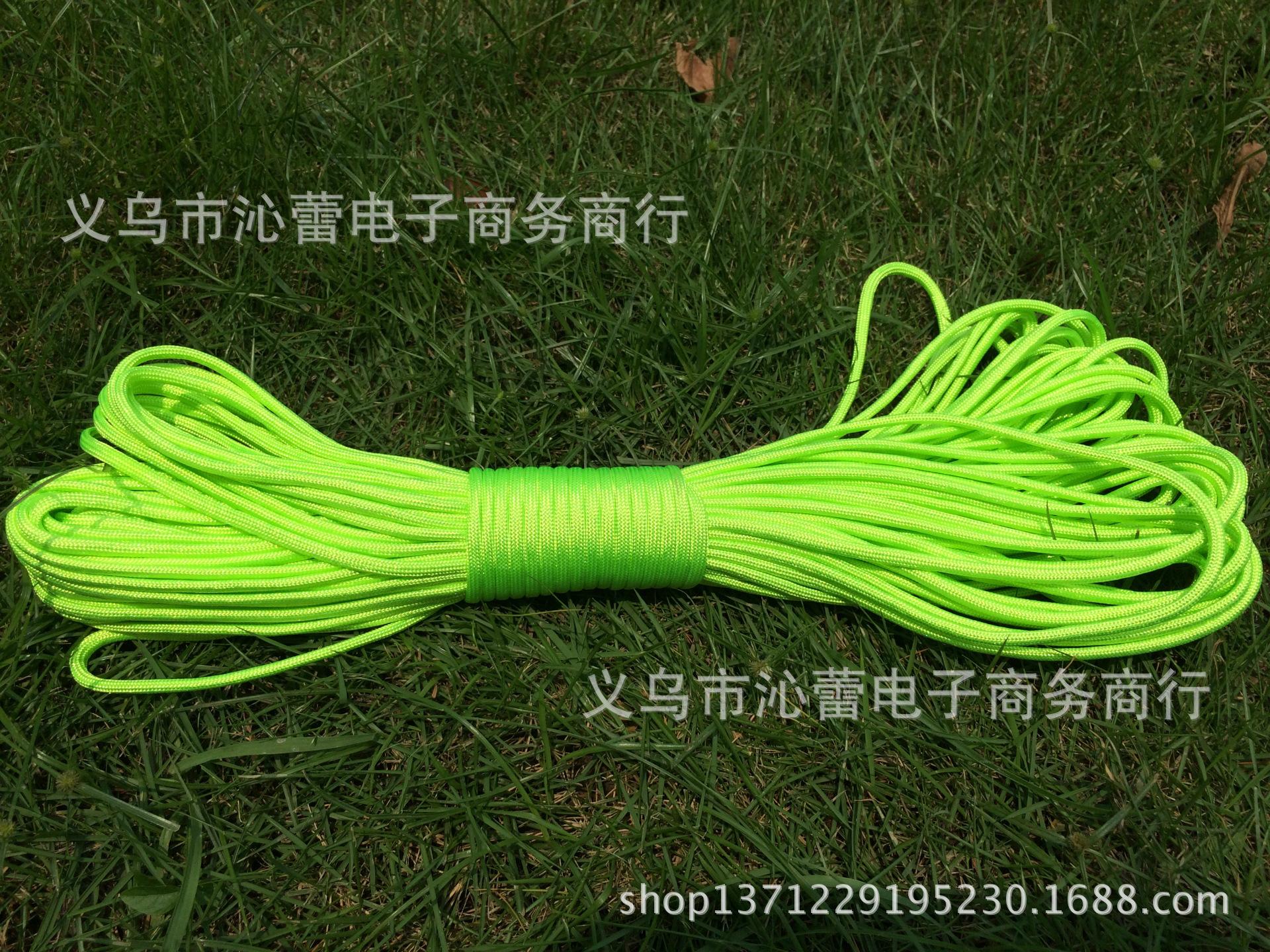 dsas 079