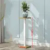Estante de Flores Sala de Estar de Pie Hierro Balcón Estante de Almacenamiento para Macetas Exhibidor de Plantas de Interior Junto al Mueble de TV