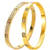 Pulsera de Acero de Titanio para Mujer con Cierre Tachonado de Diamantes, Nicho de Gama Alta, No se Desvanece, Versátil, Joyería de Acero Inoxidable Estilo Ins al por Mayor