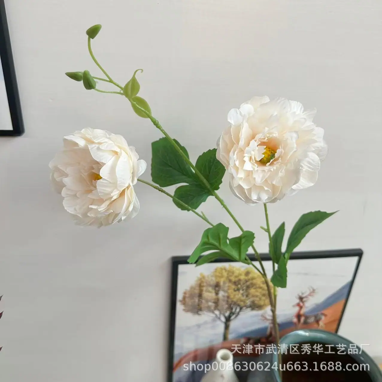 伊洛牡丹香槟色