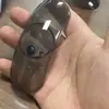 Servicios de Impresión 3D, Modelos de Animación, Tallado de Muebles, Arenado, Ensamblaje, Pintura al Óleo, Galvanoplastia, Coloración, Etc., Prototipos de Alta Precisión