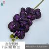 Padrão de modelagem 7 cabeça Phalaenopsis cola sentir Phalaenopsis estúdio fotográfico adereços flor de simulação janela bonita Chen
