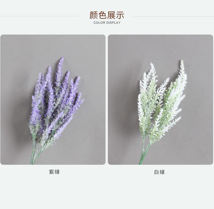 5叉熏衣草
