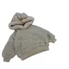 Sudadera de Terciopelo para Niños Invierno Nueva Sudadera de Terciopelo con Capucha Rayada Tops Holgados Perezosos para Bebé para Hombres y Mujeres Transfronterizo
