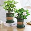 Planta Flor de Gardenia em Vaso para Interior com Botões, Adequada para Varanda Hidropônica, Fácil de Cuidar, Floresce o Ano Todo