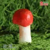 Modelo de Hongo Hongo Silvestre de Yunnan Espécimen Falso Adorno Decoración Escena Montaje Accesorios para Disparar Matsutake